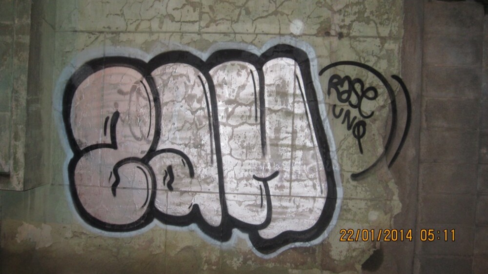 Trei tineri au fost amendati cu cate 500 de lei dupa ce au fost prinsi ca desenau graffiti pe peretele unei cladiri - Imaginea 2