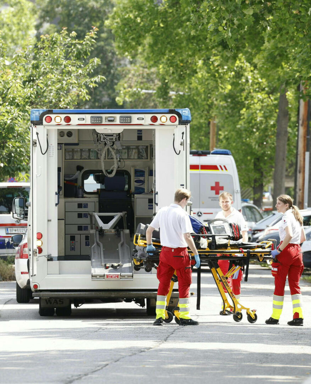 Atac armat la o şcoală din Austria: cel puţin 11 morţi şi mai mulţi răniţi. Făptaşul, un fost elev, s-a sinucis. FOTO & VIDEO - Imaginea 2