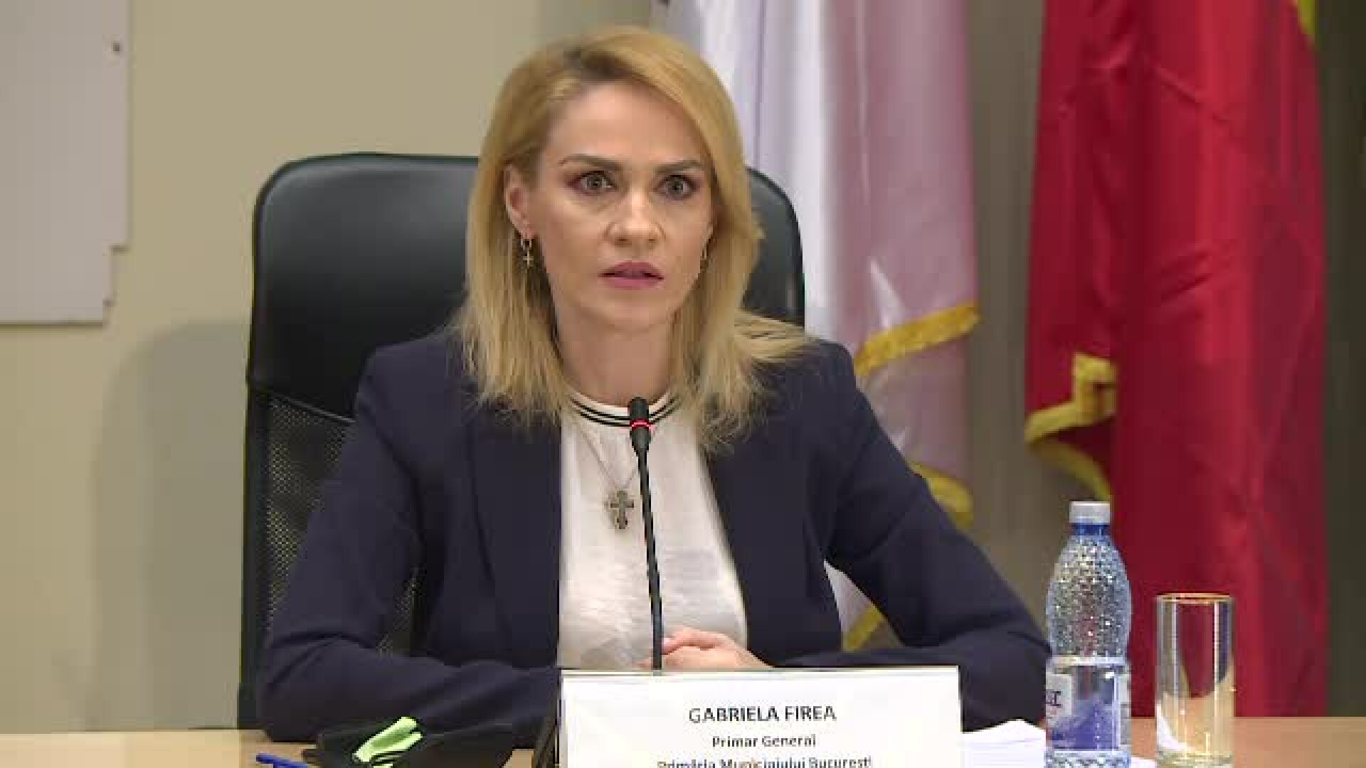 gabriela firea