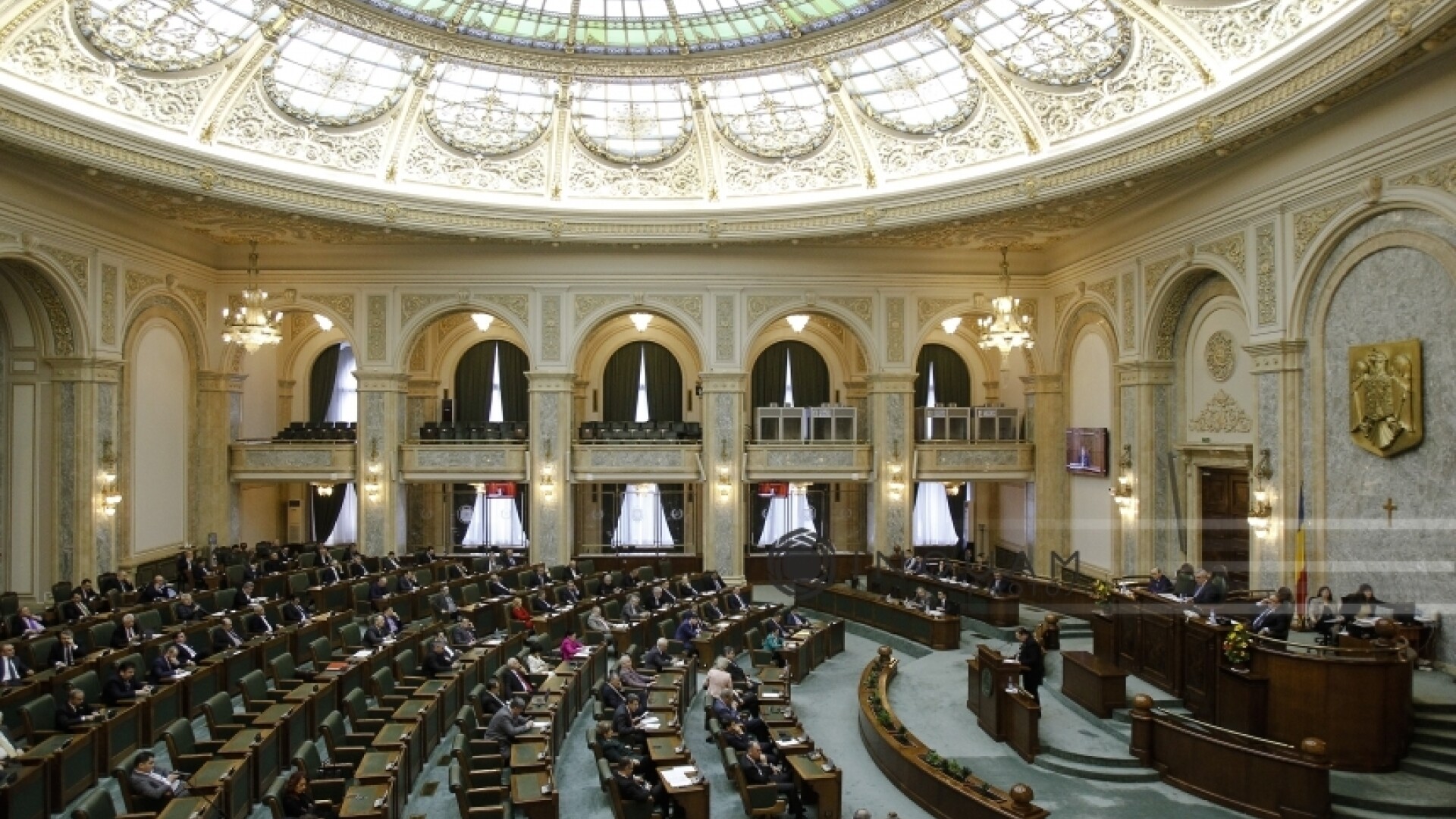Senat