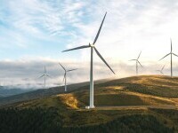 România va fi avantajată dacă viitoarea Comisie Europeană va fi “mai puțin verde”. “Poate fi contraintuitiv”