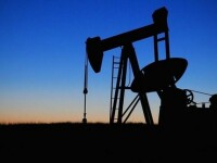 Petrol