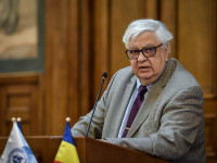 mircea cosea