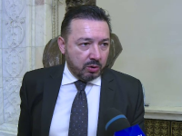 Catalin Radulescu