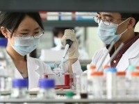 laborator china