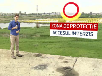 Delta Vacaresti