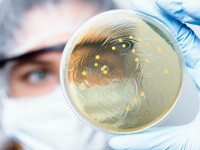 bacterie