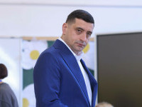 simion vot