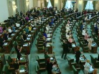 Senat, aplauze