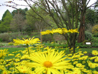 Gradina botanica