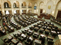 Senat