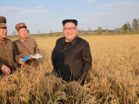 kim jong un, la ferma - 4