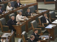 Senat