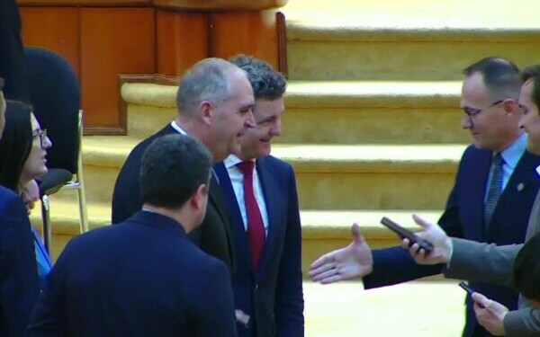 Nicusor Dan, Parlament Nicusor Dan, Parlament
