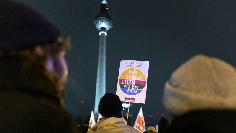 afd germania